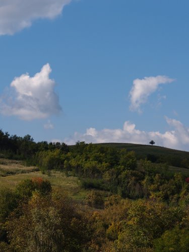 Nagyvisnyó by Blende