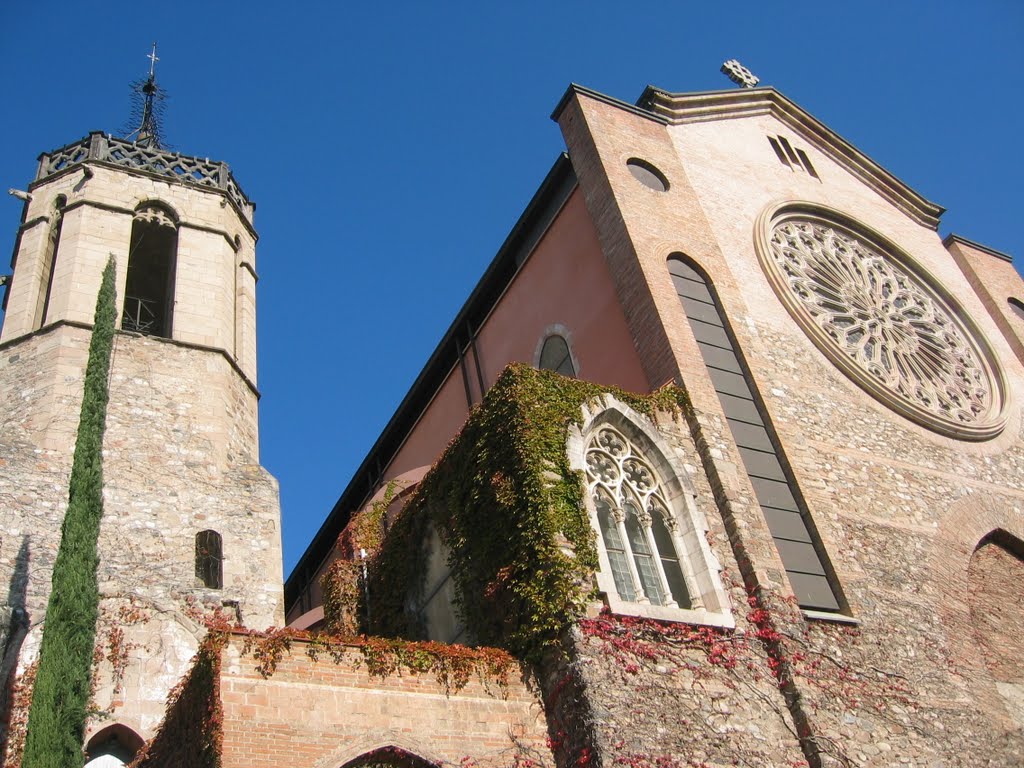 Detalle de la catedral by Alva Lopez