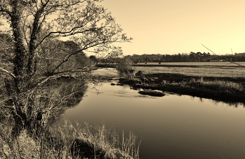 Liffey in Clane by Rob Johnson