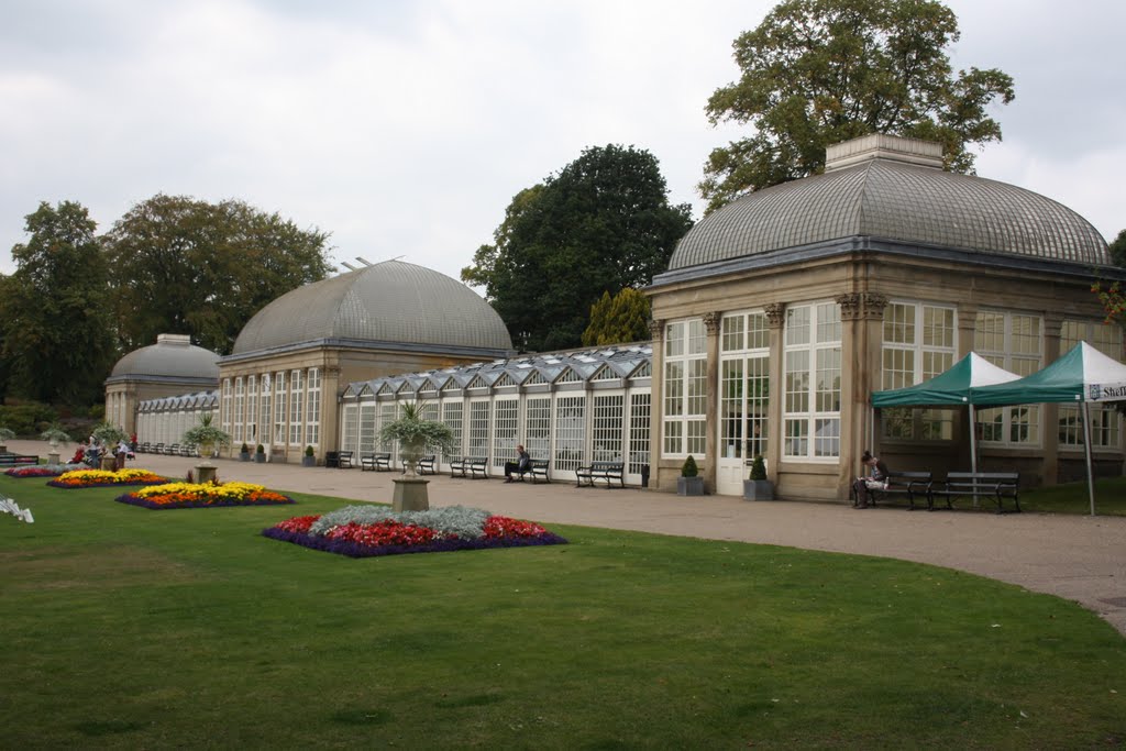 Greenhouse with exotic plants by Florin Ţanovici