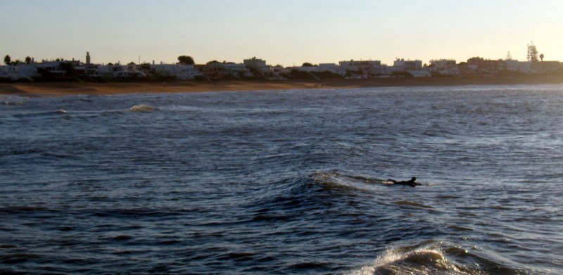 Plage de Bouznika by Mohamed Hajji