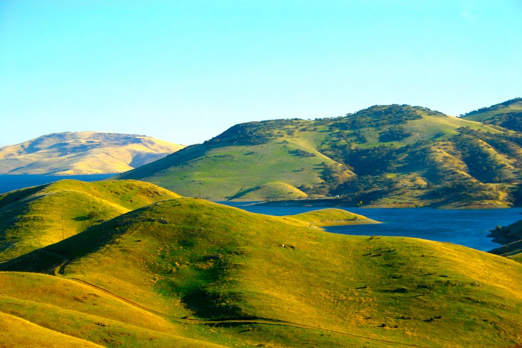 Pacheco Lake on The Pacheco Pass, California by MICHAEL  JIROCH  &  www.michaeljiroch.com