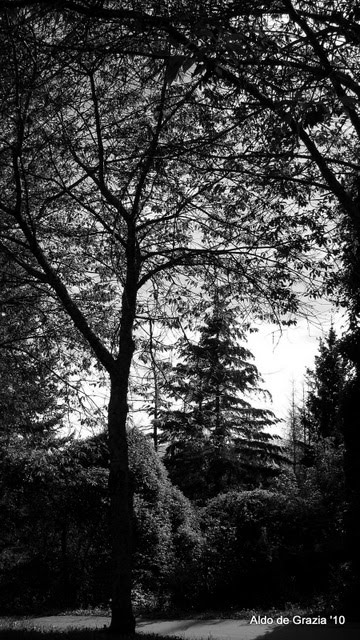 Garfagnana - Parco Orecchiella by Aldo de Grazia