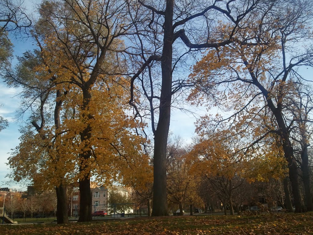 Washington Park, Chicago, IL, USA by Mariusz Zielezny