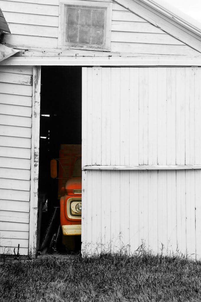 "Peek-a-Boo" - Grain Truck at the Grain Elevator Complex - East Lake Lillian, MN - October 30th, 2011 by mnragnar