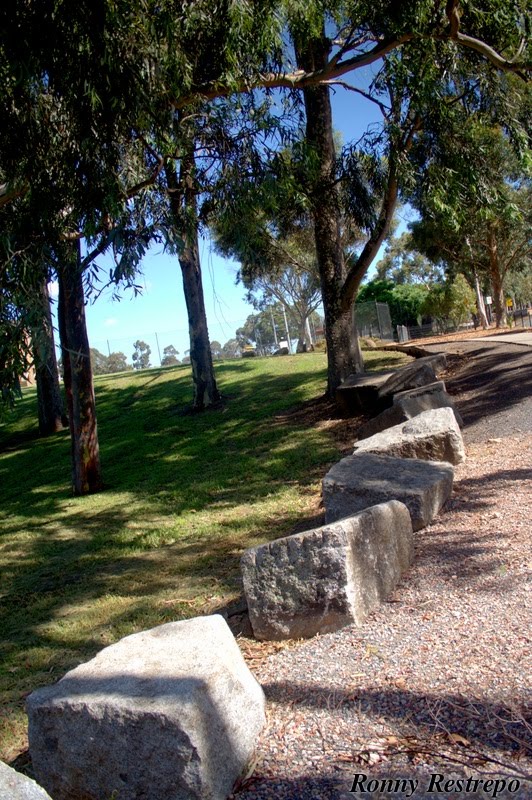 Monash University - Clayton Campus - Park Near the Halls of Residence 13 by ronny restrepo