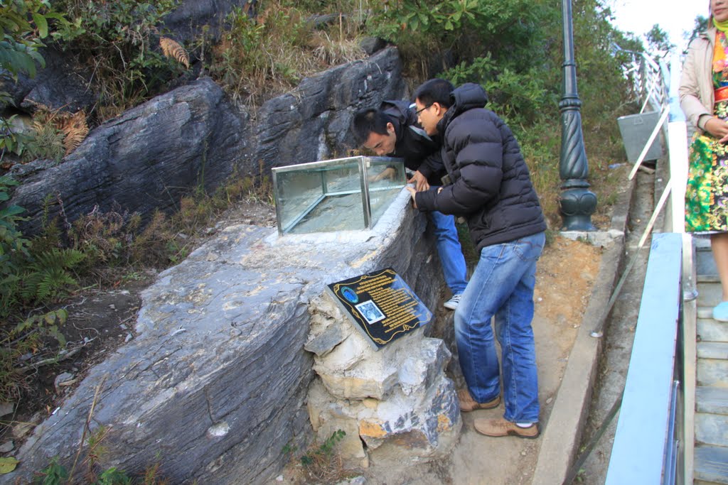 HÀ GIANG - Đồng Văn. Xem động vật hóa thạch ở Cột cờ Lũng Cú by Đăng Định