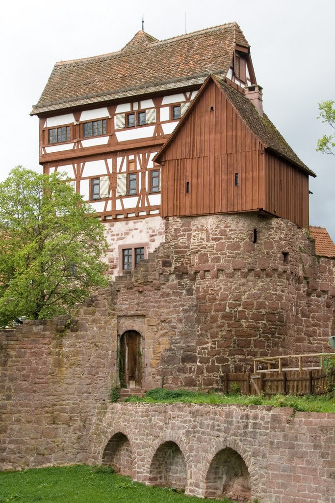 Burg Altensteig by Roland Hartnagel