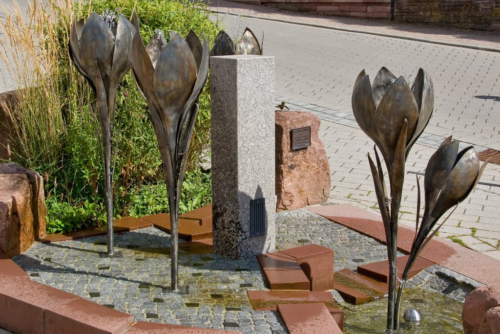 Krokusbrunnen in Zavelstein by Roland Hartnagel