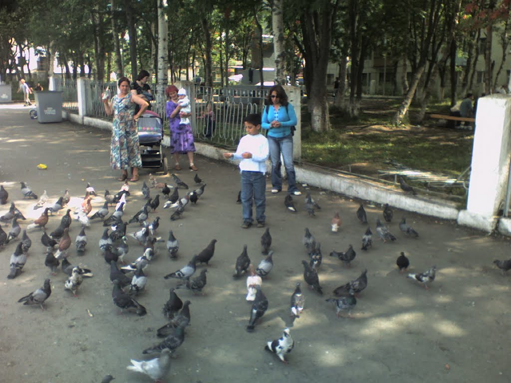 Pigeons at Lenin square in Korsakov 01.07.2005 by Bluewhale