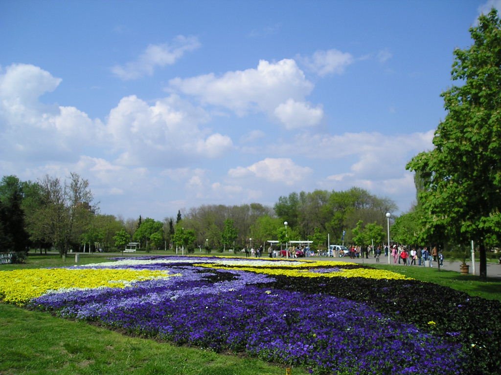 International Flora Exhibition, Burgas, Bulgaria by Joro Petrov