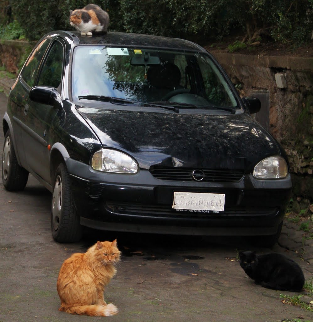 Waiting for a Driver... by luciano mantovani