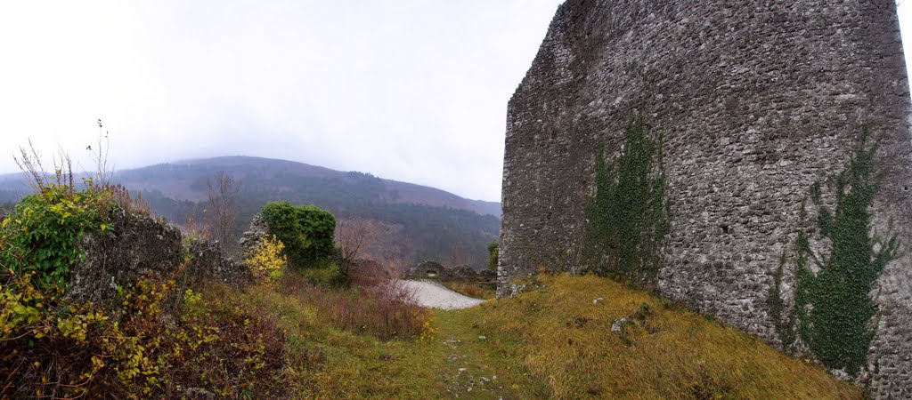 Vipava old castle ruins by Igor Mohoric Bonca