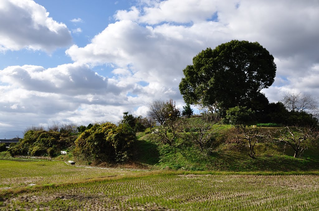 川合町　城山古墳 by shinsenkyo