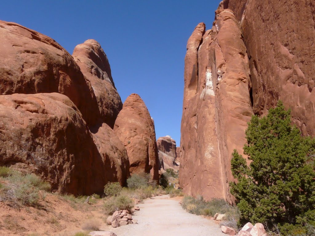 Devil's garden trailhead, Arches nat park Ut by ikbonset