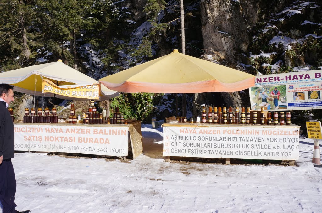 Organic honey producer in Trabzon-Uzungöl by cdolkan