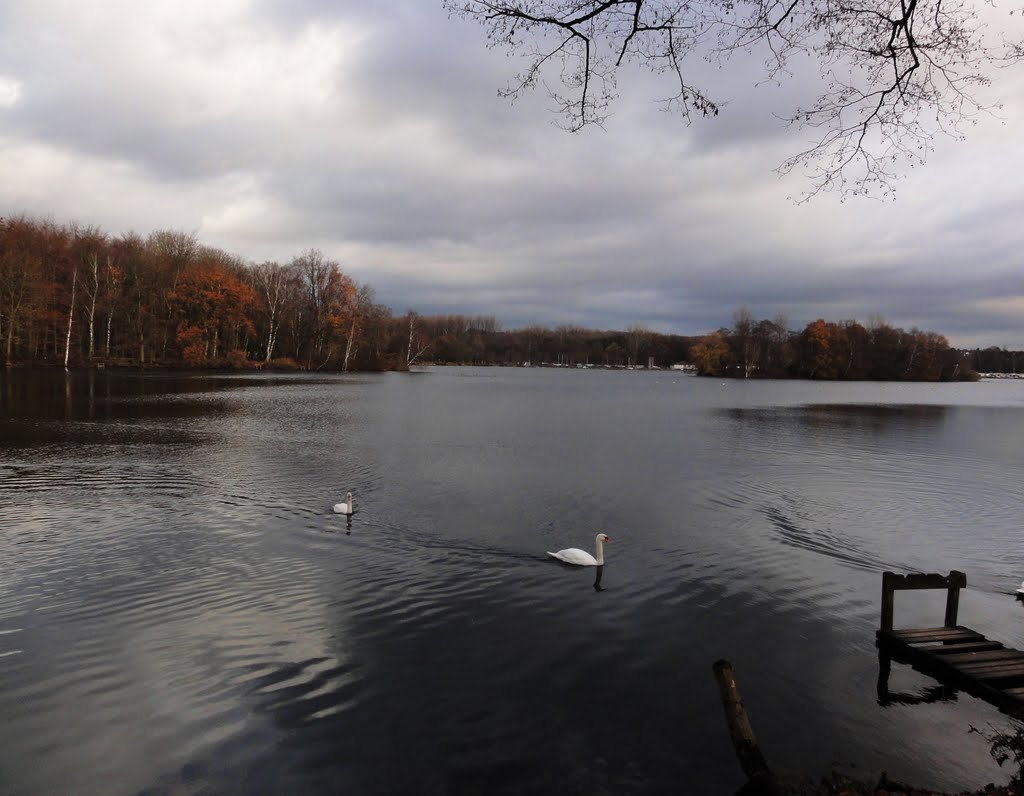 Unterbachersee Winter by Willi Prinz