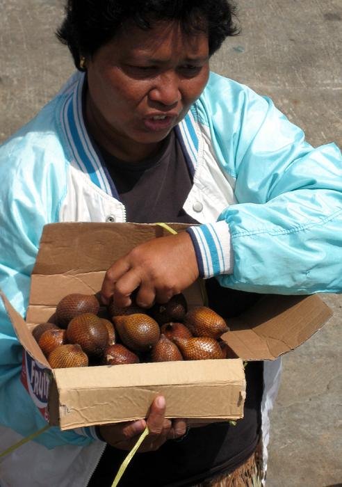 Salak fruit-Tagulandang by JR Pahlano DAUD