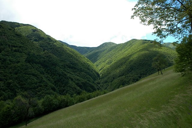 Val Fontane by aldo de bastiani