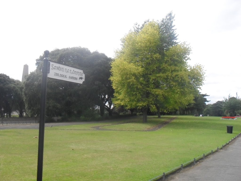 Dublin, Phoenix park by Björgvin Asgeirson