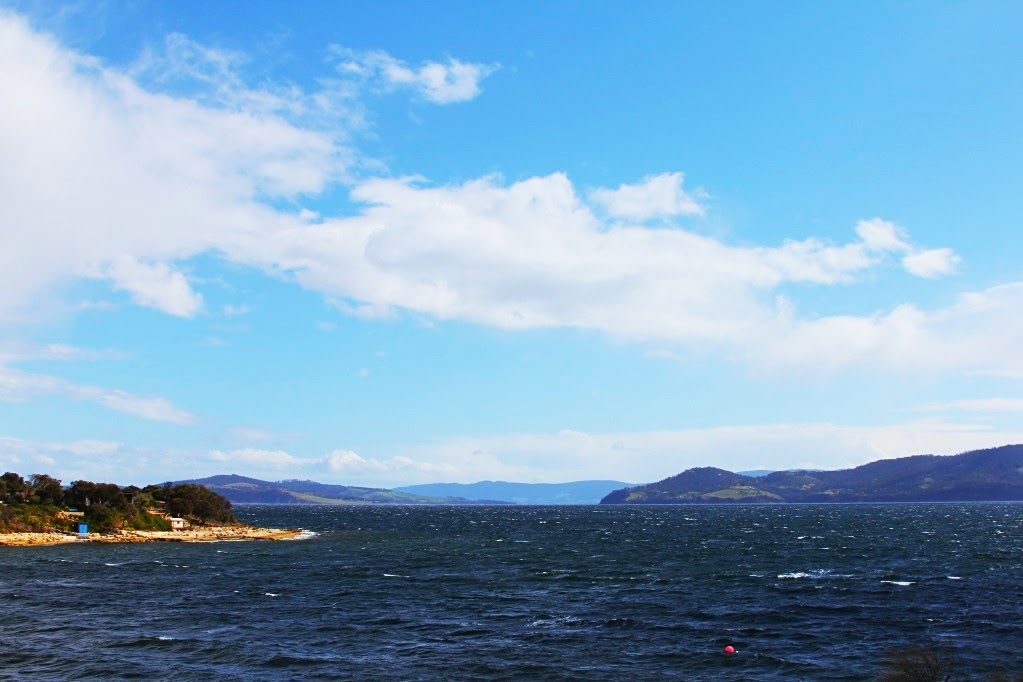 Opossum Bay by readyfire