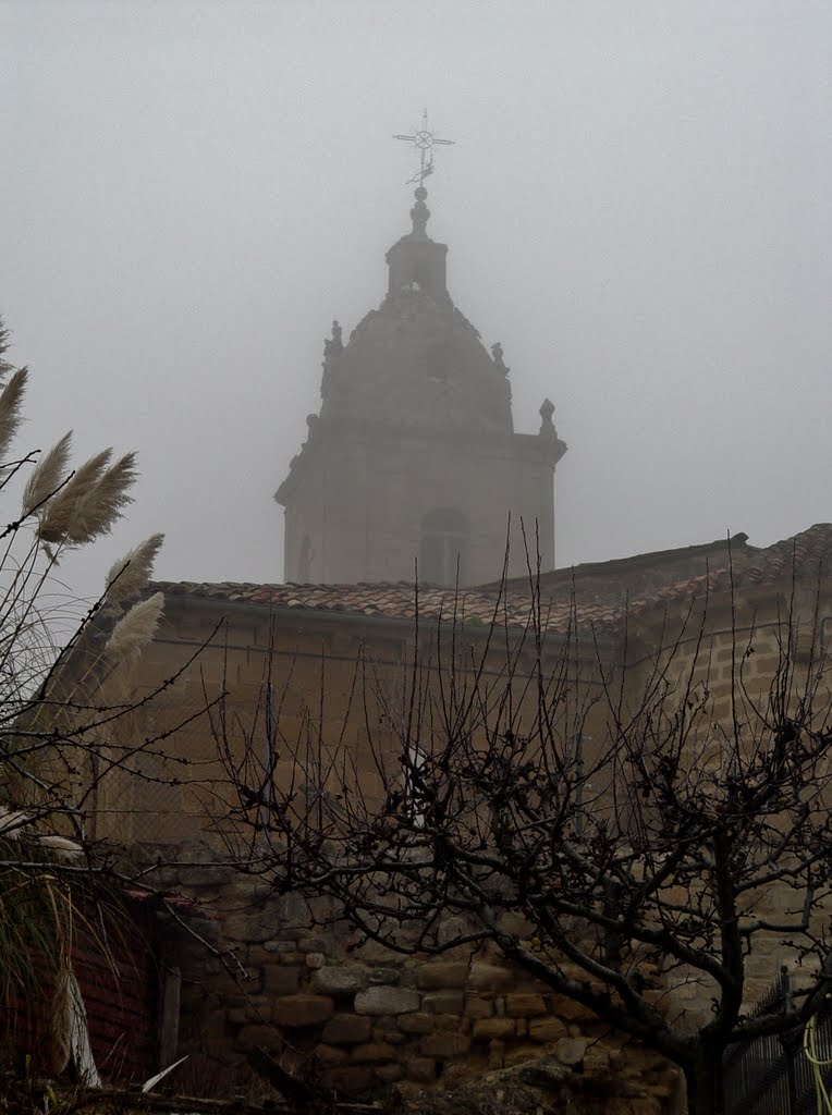 NIEBLA by Pacasapena