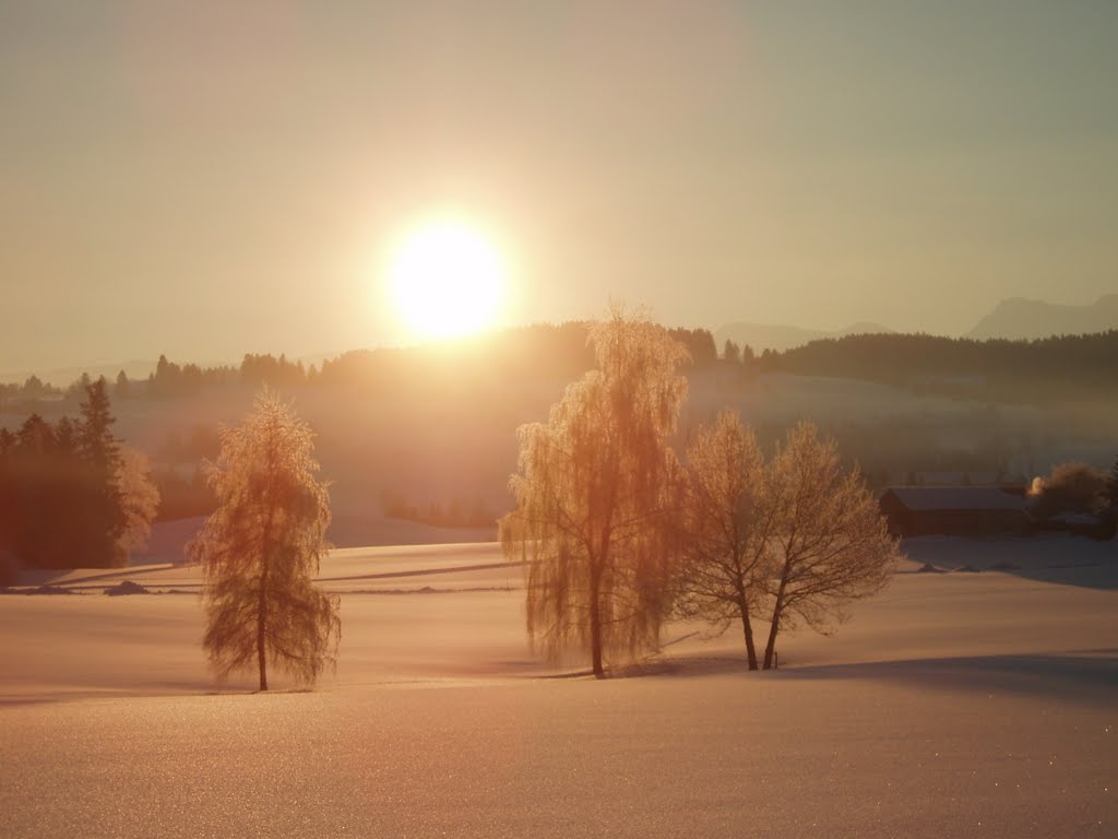 Winterbild by erwin6541