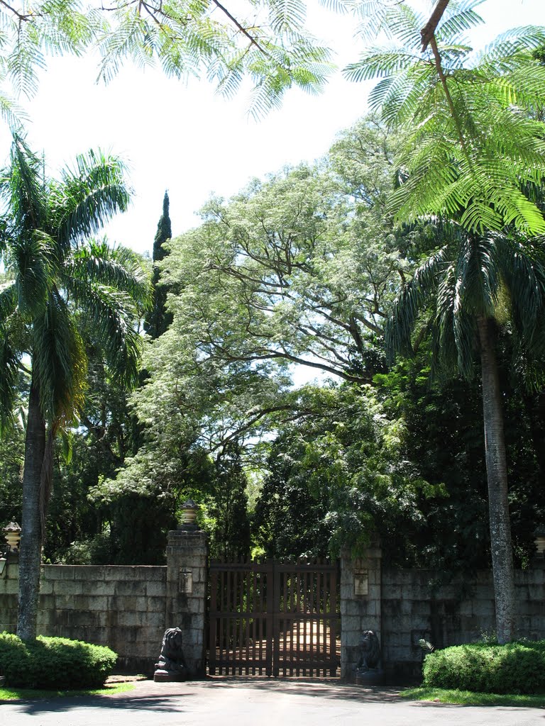 Portão da Fazenda Amalia em Santa Rosa de Viterbo by gelsimio