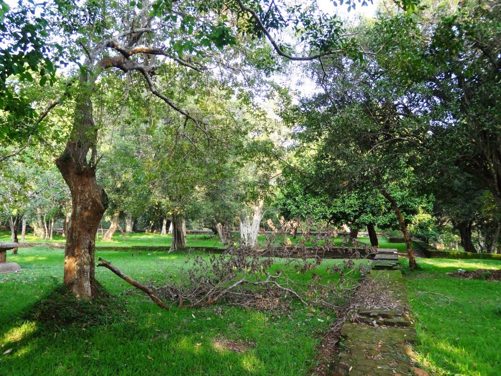 Anuradhapura, Sri Lanka by Senanayaka Bandara