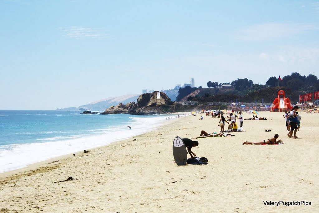 Viña Del Mar Beach by valery pugatch