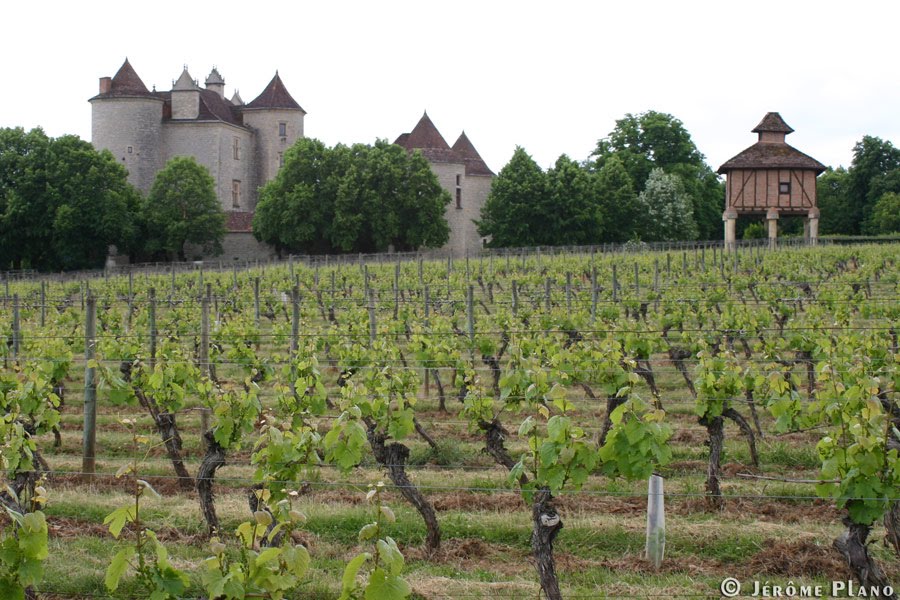 Château Lagrezette - jeromeplano.ca by Jerome Plano