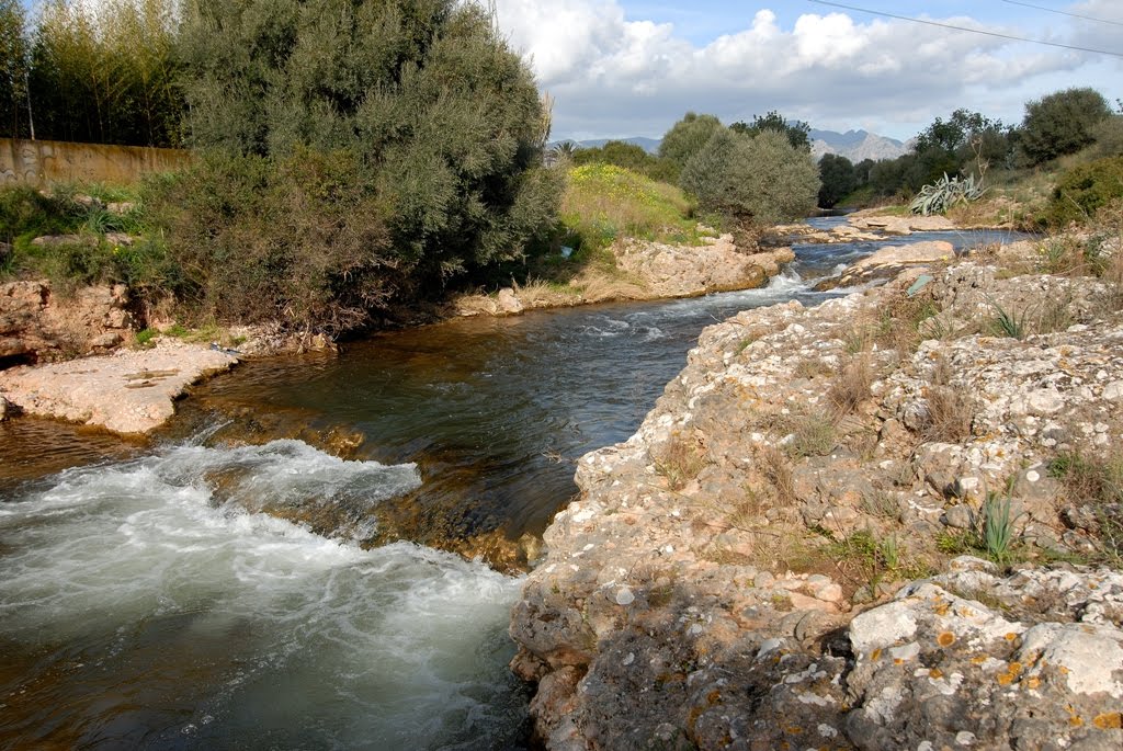 Torrent Gros (Marratxí) by Portal Forà Group