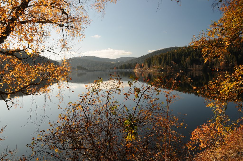 Schluchsee/Schwarzwald by Willi Günter Glietsc…