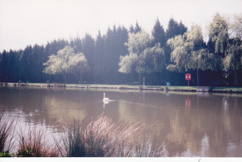 Cwmbran Boating Lake by David Owen