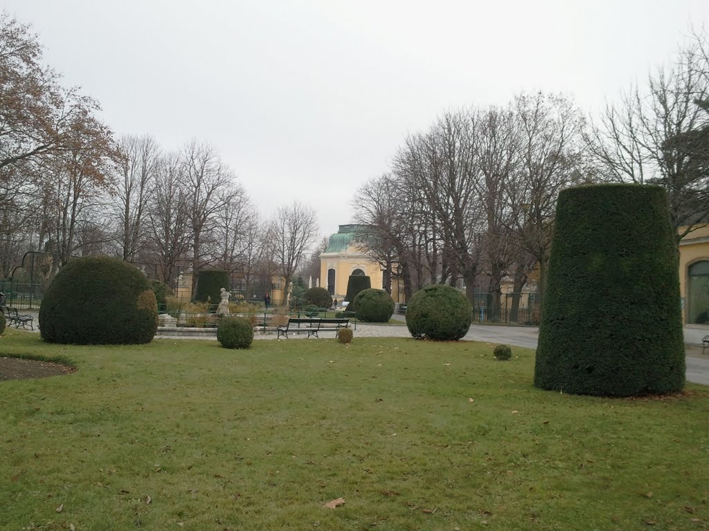 Tiergarten Schönbrunn by Zsuzsanna Újvári