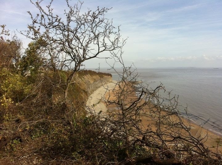 Overlooking Lavernock Point by Thomas Scott