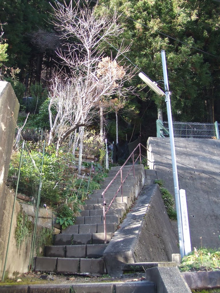 奈良井若宮社 (Narai-Wakamiya-Shrine) by masaki