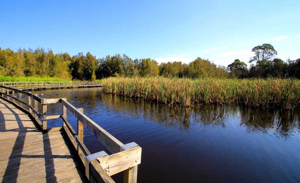 Nature Board Walk at Batemans Bay by Roger Powell