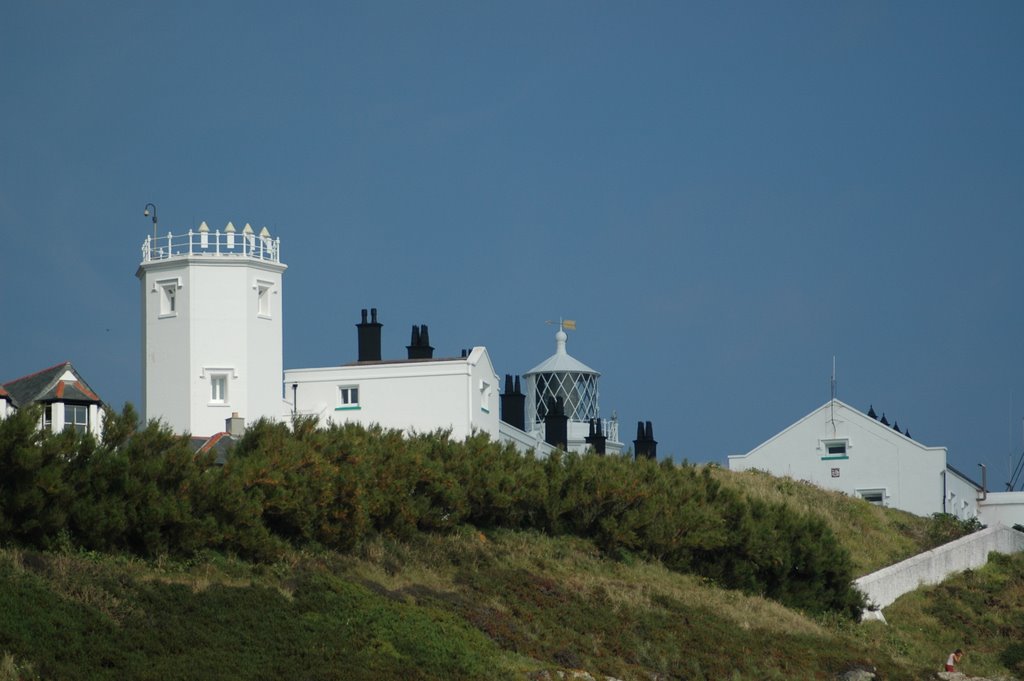 Lizard Point by John  Stillman