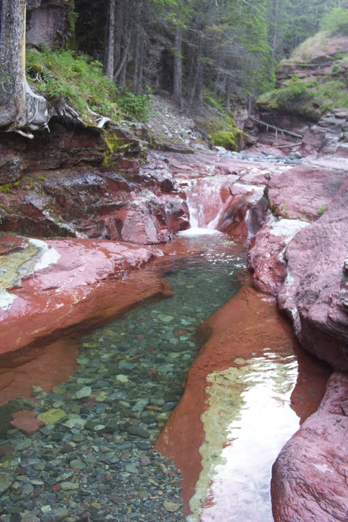 Red Rock Canyon, Waterton National Park, AB by Amandy G