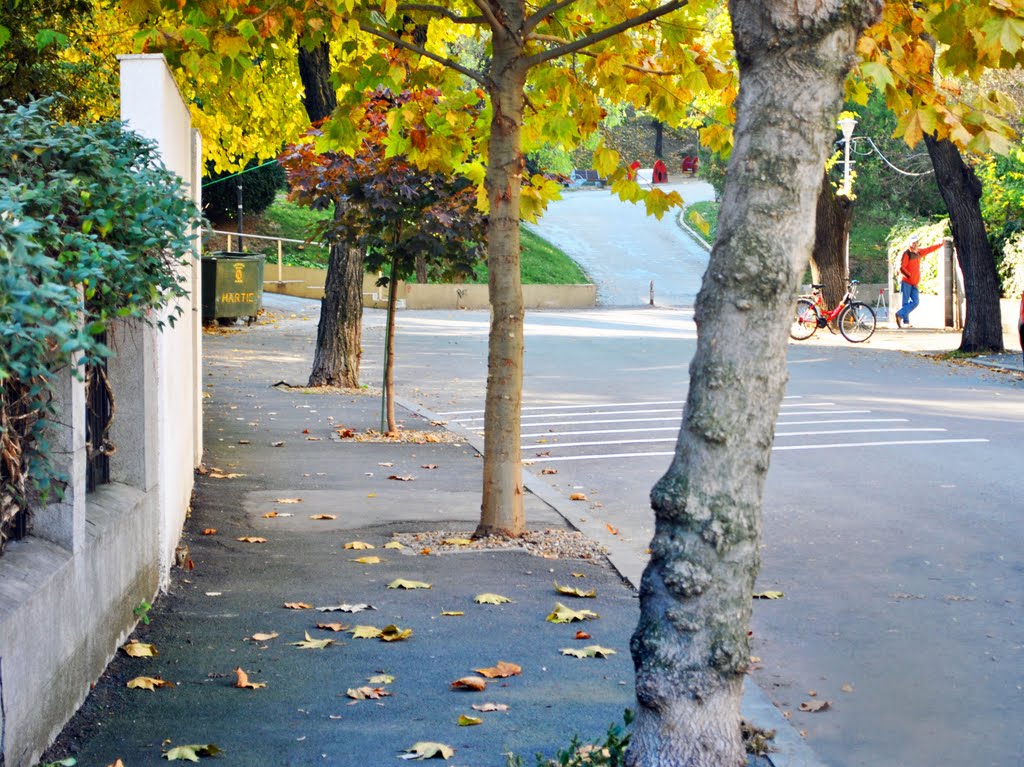 A walk in Cotroceni by Ovidiu Anca