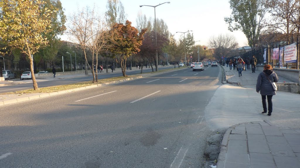 Mareşal Fevzi Çakmak Caddesi by Fatih Yavuz