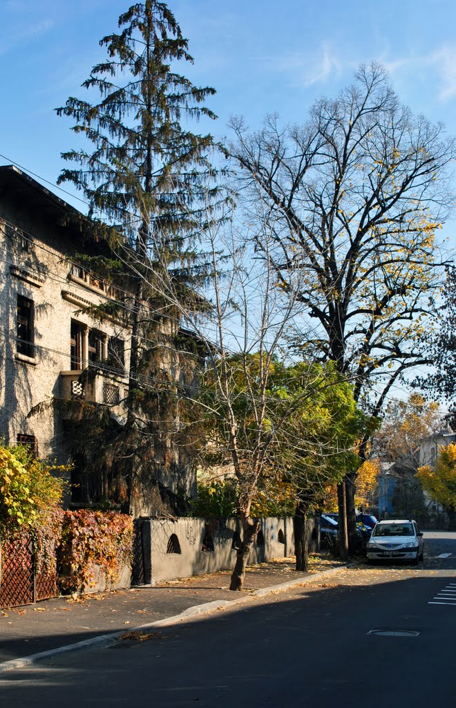 A walk in Cotroceni by Ovidiu Anca