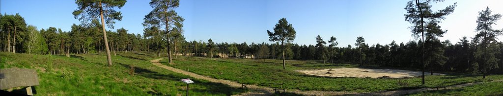 Panorama Wacholderhain nach Süden by klausingsjopp