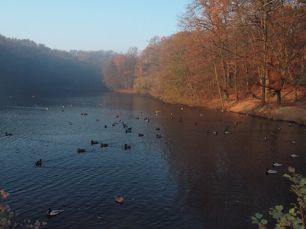 Zagreb, jezero u Maksimiru by krunoslav gorup