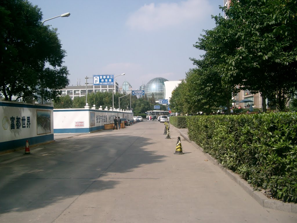 Pudong Shanghai, China by Muhammad Mubeen