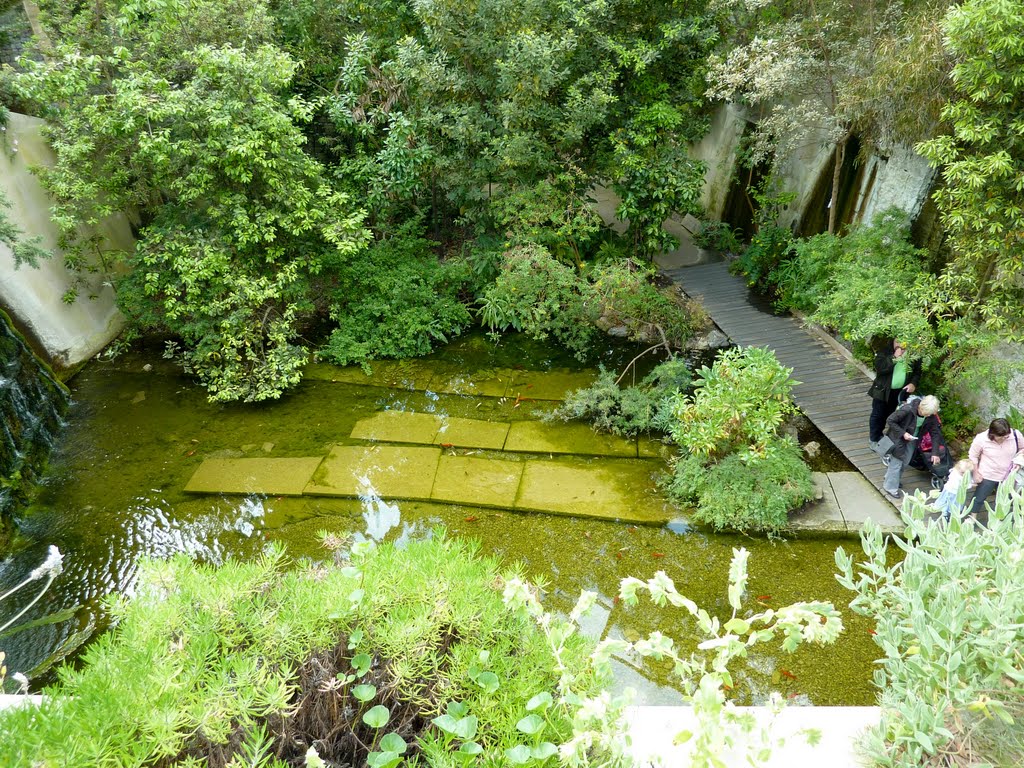 The National Botanic Garden Of Wales by finn143