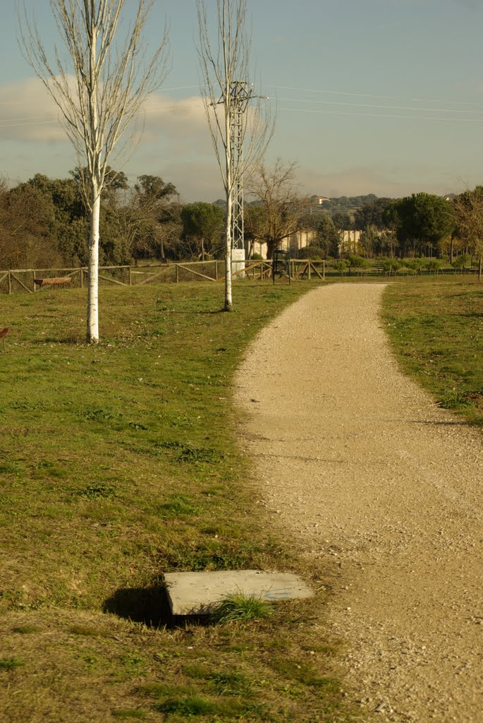 ® S.D. MADRID RIO MANZANARES - PANORAMA DE LA VEGA by Concepcion AMAT ORTA…