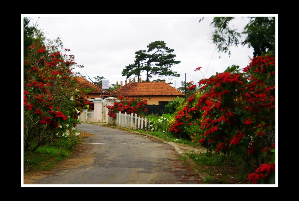 Sáng sớm Đà lạt by dang ngoc tai