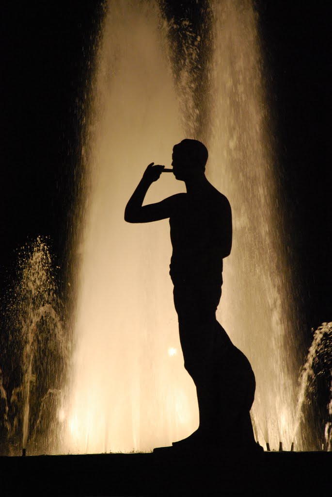 Barcelona - Plaça de Catalunya - 2011 by Jean-Luc Pierrat